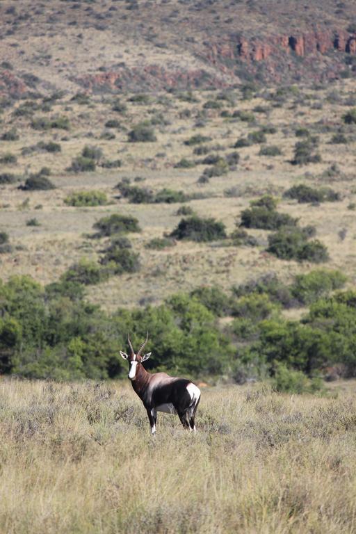 Ko Ka Tsara Bush Camp Beaufort West Exterior foto