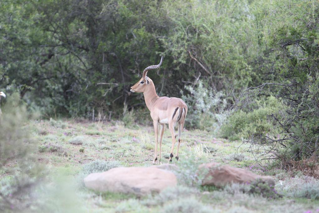 Ko Ka Tsara Bush Camp Beaufort West Exterior foto